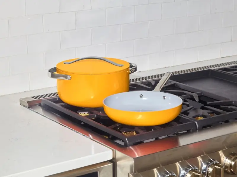 10 Types of Pans To Know